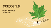 艾草越嫩越好，還是越久越好？悄悄告訴你：艾草這樣用，效果最好！