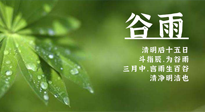 【二十四節(jié)氣灸】谷雨時(shí)節(jié)，用艾為您的健康加上一道保險(xiǎn)！