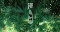 【二十四節(jié)氣灸】芒種節(jié)氣，培土補(bǔ)脾、養(yǎng)陰生津！艾灸這些穴位事半功倍！