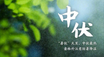 【三伏養(yǎng)生】至熱中伏，吃三樣，喝三樣，三大禁忌千萬別犯，小心落下病根！