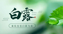 【二十四節(jié)氣灸】白露涼爽，養(yǎng)心肝脾胃、滋陰潤肺是關鍵！
