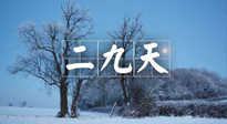 【三九養(yǎng)生】冬二九，扶陽補腎氣，讓你陽氣充足一整年！