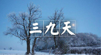 【三九養(yǎng)生】冬三九，三九第三灸，一年中最后艾灸黃金9天！