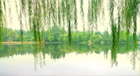 【養(yǎng)生知識】已入五九，六九將至，五九的養(yǎng)生秘訣，你知道嗎？