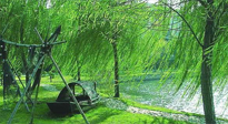 【養(yǎng)生知識】元宵入六九，春季已至，六九天的養(yǎng)生知識你知道多少？