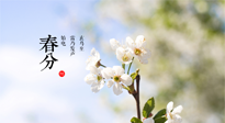 【二十四節(jié)氣灸】春分，平分了大地晝夜；艾灸，平衡了身體陰陽！