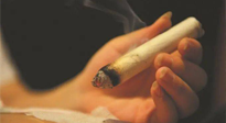 【艾灸知識】春暖花開，衣衫漸薄，再不減肥，身上的肉肉可藏不住了！
