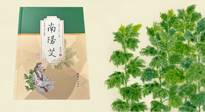 【行業(yè)資訊】國內(nèi)首部艾草專著《南陽艾》，在南陽新書首發(fā)！