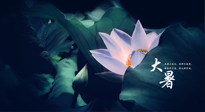 【二十四節(jié)氣灸】趁大暑好好艾灸，才不辜負(fù)三伏天的驕陽(yáng)！