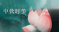 【艾灸三伏天】中伏：三伏灸的關(guān)鍵轉(zhuǎn)折點(diǎn)！“灸”除病根的大好時(shí)機(jī)！