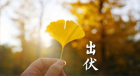 【艾灸三伏天】出伏啦！三防三宜兩穴位，防止身體“秋后算賬”！