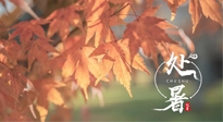 【二十四節(jié)氣灸】處暑，冬病夏治倒計時！秋涼真的要來了！