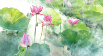 【養(yǎng)生知識】花開半夏，夏至養(yǎng)生，這些知識一定要牢記！