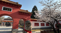 【行業(yè)資訊】新華財經(jīng)：守正創(chuàng)新，中醫(yī)藥品牌化發(fā)展“更上一層樓”！