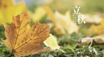 【節(jié)氣養(yǎng)生】甲辰立秋，“2做”、“2不做”，護好我們身體的正氣，預(yù)防外邪的侵襲！