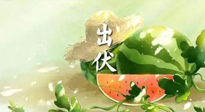 【艾灸三伏天】出伏后記得堅(jiān)持艾灸，伏后固本，做好至關(guān)重要的最后一步！