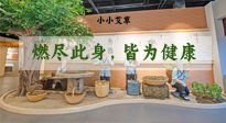 【艾草知識】小小艾草，渾身是寶，一生燃盡此身，皆為健康！